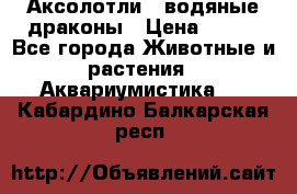 Аксолотли / водяные драконы › Цена ­ 500 - Все города Животные и растения » Аквариумистика   . Кабардино-Балкарская респ.